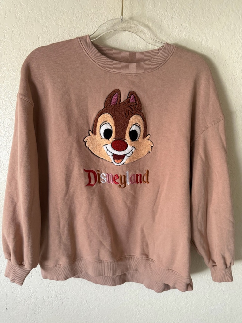 Disneyland Chip ‘n Dale Embroidered Oversized Sweatshirt size XS - Picture 12 of 12